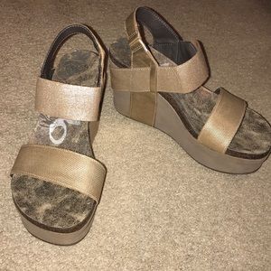 Otbt Bronze Bushnells